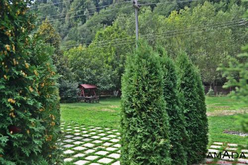 Hostal Pensiunea Amada