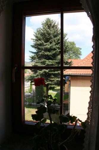 Hostal Pensiunea Tulipan