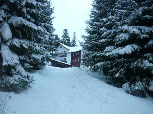 Hostal Pensiunea Silvania