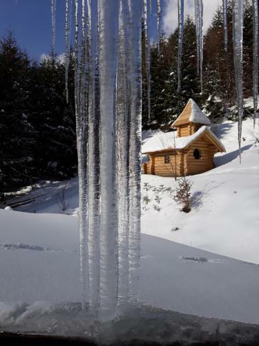 Hostal Pensiunea Silvania
