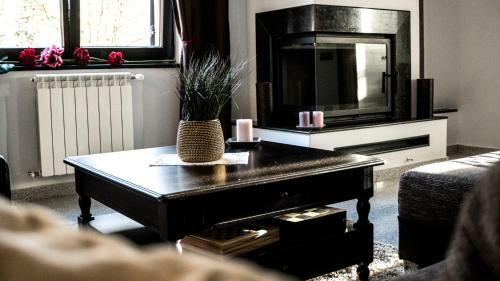 Hotel Pensiunea Negoiu