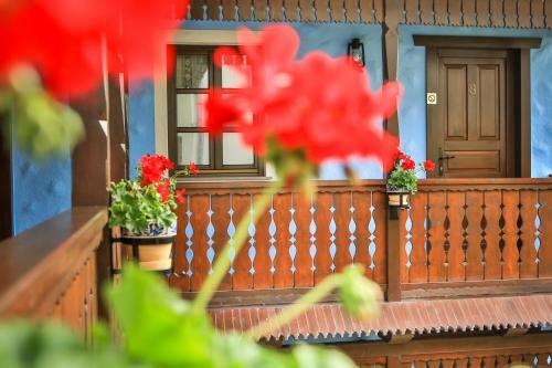 Hostal V�rkert Panzi�