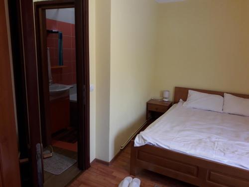 Hostal Pensiunea Ana-dragusana