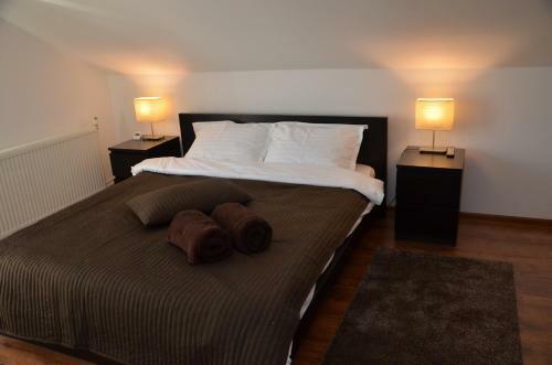 Hostal Pensiunea Casa Runcu Buzau