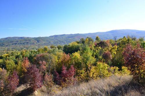 Hostal Pensiunea Casa Runcu Buzau