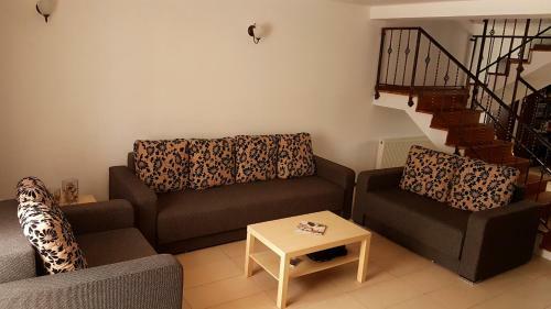 Hostal Pensiunea Casa Runcu Buzau
