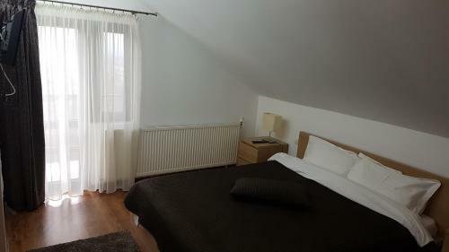 Hostal Pensiunea Casa Runcu Buzau