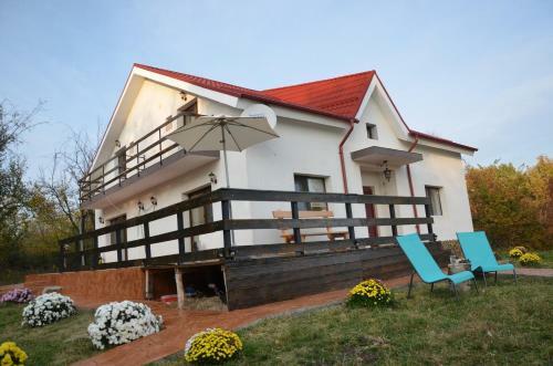 Hostal Pensiunea Casa Runcu Buzau