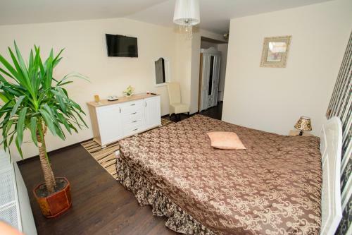 Hostal Pensiunea Sophia