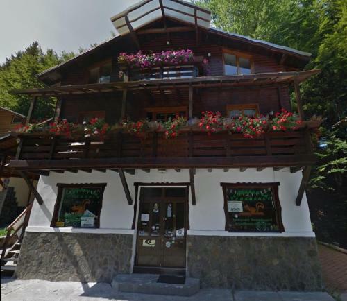 Hostal Pensiunea Dana
