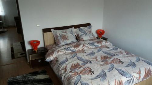Hostal Pensiunea Aly