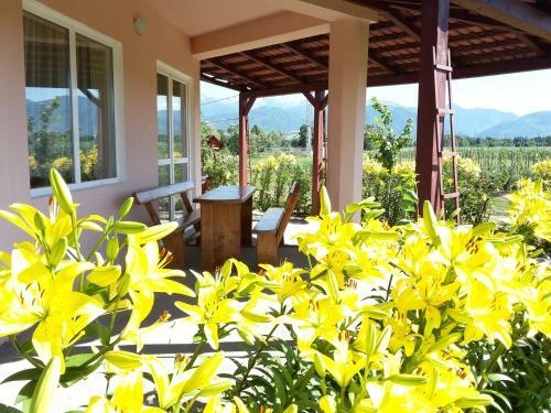 Hostal Vila Ivan