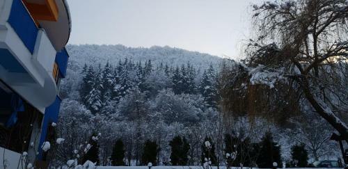 Motel Blue River Calimanesti