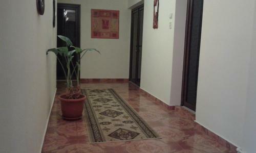 Hostal Vila Bogdan
