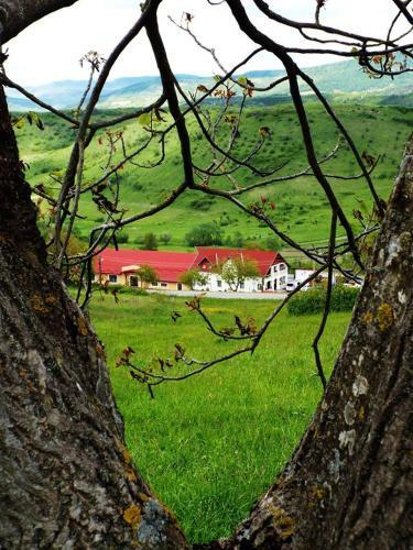 Hostal Pensiunea Sovirag