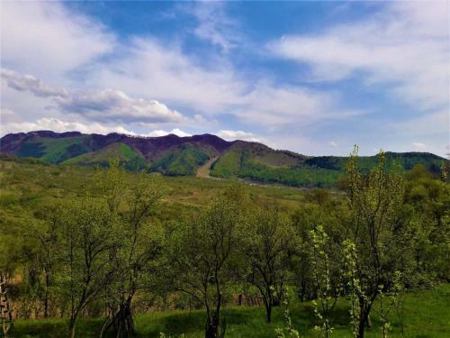 Hostal Casa Din Piatra