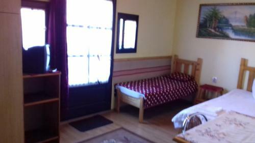Bed & Breakfast Pensiunea Amalia Panzi�