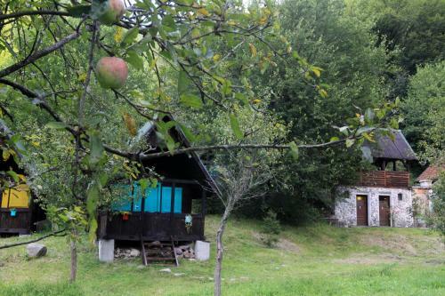Hostal Pensiunea Dacica