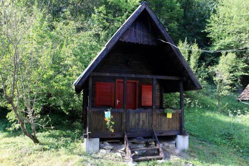 Hostal Pensiunea Dacica