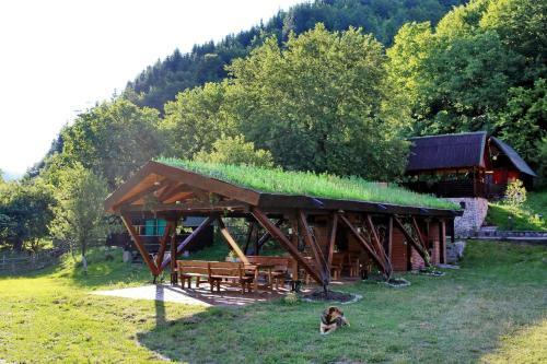 Hostal Pensiunea Dacica