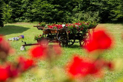 Agroturismo Hunter Vip