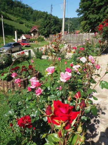 Hostal Guesthouse Filip