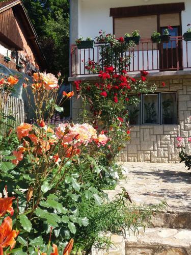 Hostal Guesthouse Filip