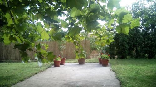 Hostal 3 Platana