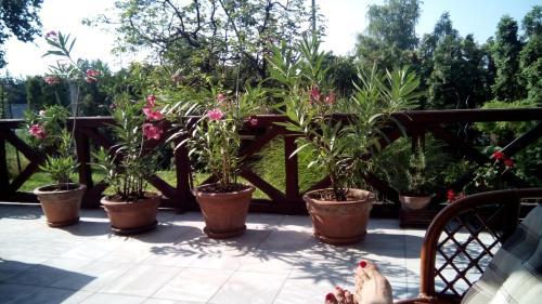 Hostal 3 Platana