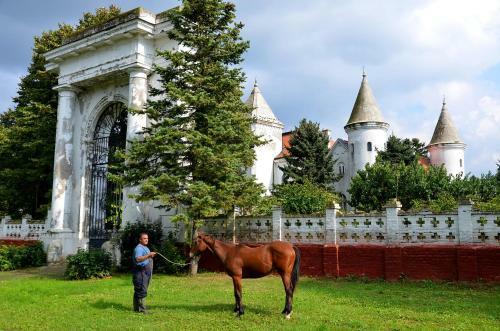 Bed & Breakfast Dvorac Fantast