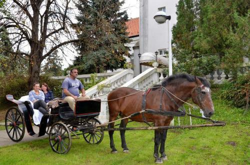 Bed & Breakfast Dvorac Fantast
