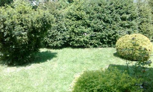 Apartmani Nais Zlatibor