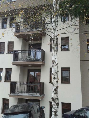 Apartment Daks