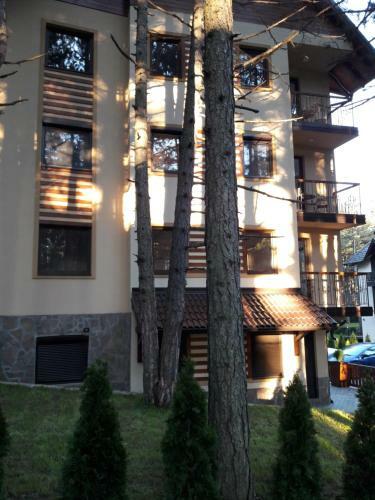 Apartamento Zlatibor Wood