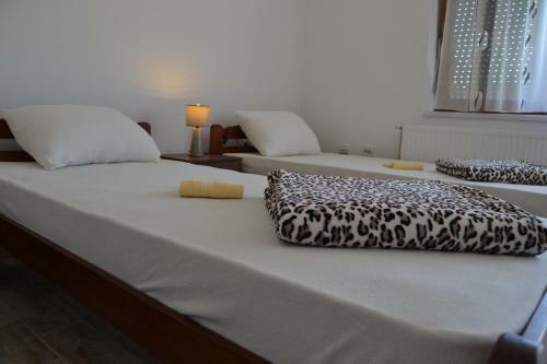 Hostel Bobi