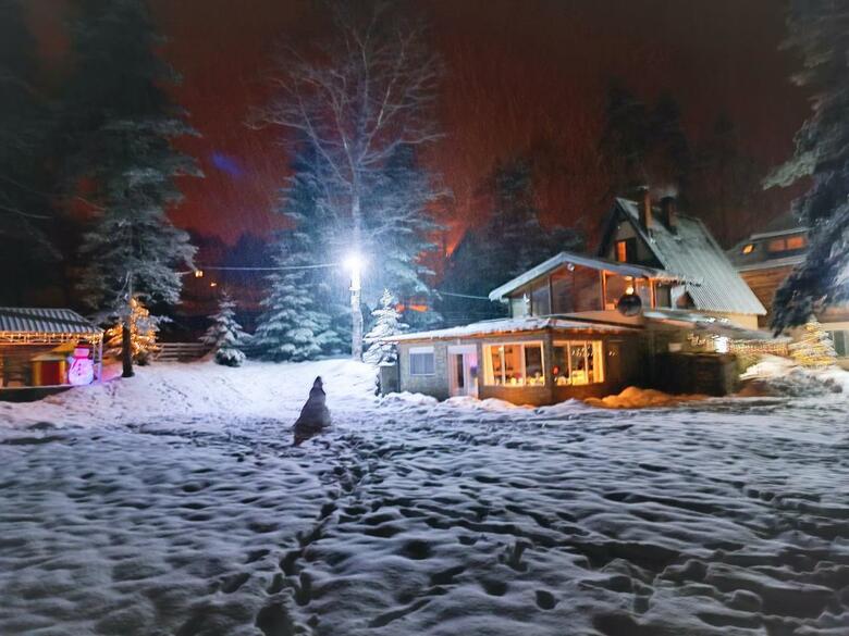Apartman Boki Divcibare