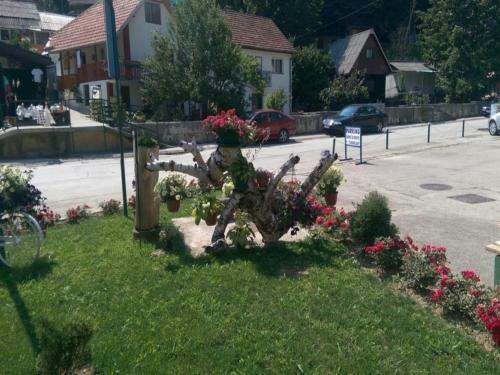 Hostal Guesthouse Edelnice