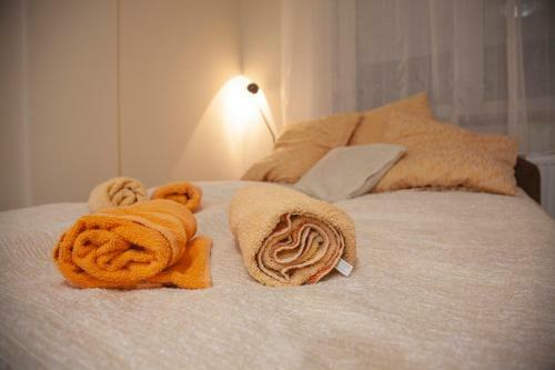 Apartment Vas Raj