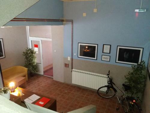 Apartments Zlatna Ribica