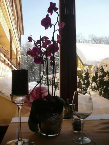 Garni Hotel Vila Lago