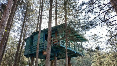 Hostal Guesthouse Bajka