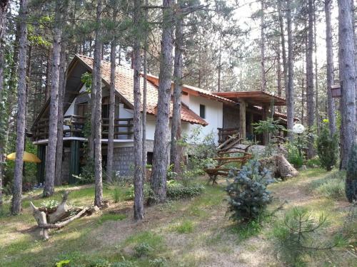 Hostal Guesthouse Bajka