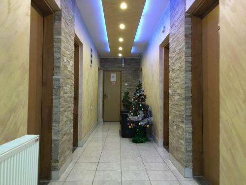 Hostel Grof