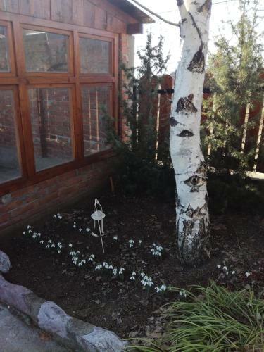 Hostal Seosko Domacinstvo Imunsan