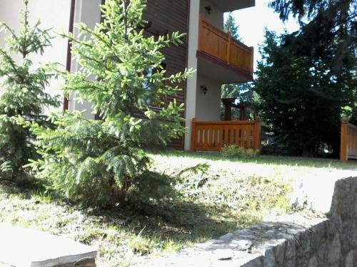 Apartment Joksimovic