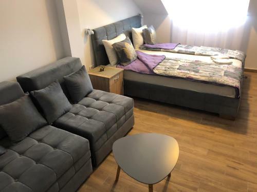 10 Apartments