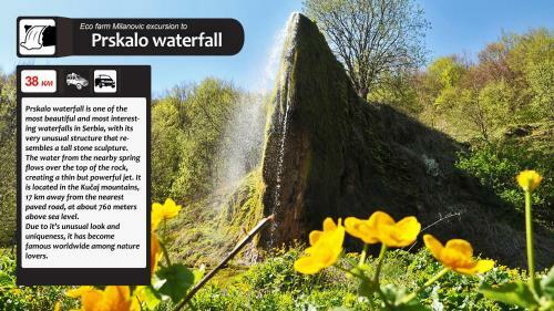 Hostal Eco Farm Milanovic