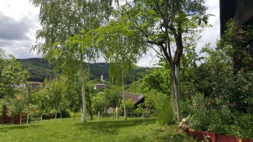 Agroturismo Miris Dunja