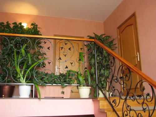 Hostal Guest House Usadba