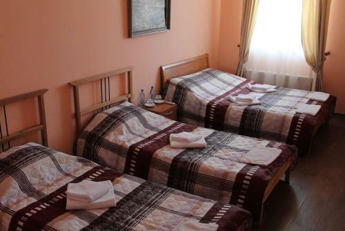 Hotel Volkhov Most